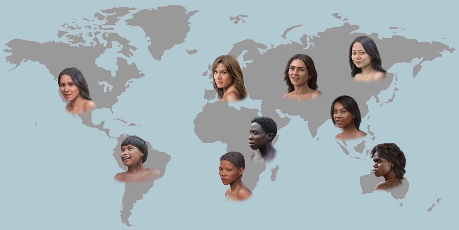THE EVOLUTION OF SKIN COLOR 