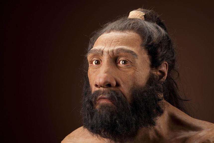 HOMO NEANDERTHAL, ADULT MALE.